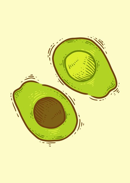 Avocadoo fruit cartoon vector illustration food nature icon concept isolated premium vector