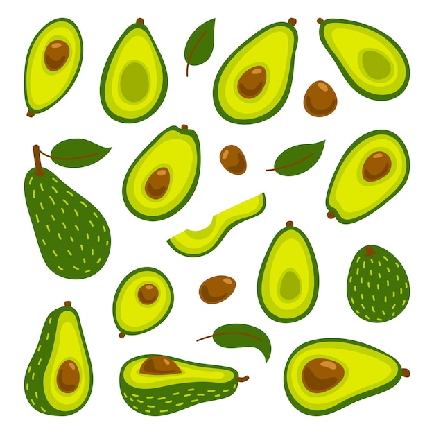 avocados set. Whole avocado and cut slices isolated