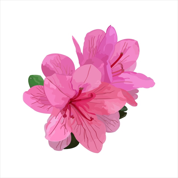 Azalea Blossom Flower Vector plat ontwerp grafische illustratie 2d HD