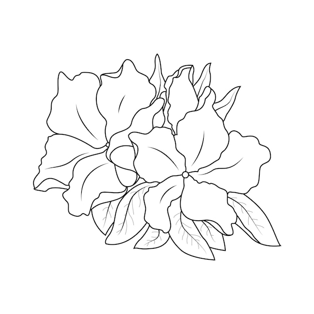 Vector azaleas flower