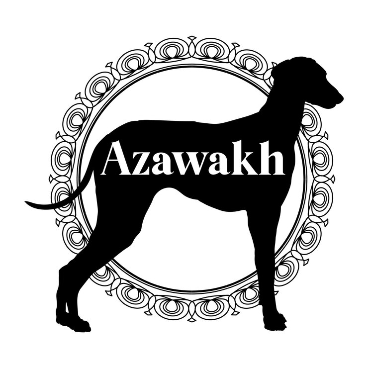 Vector azawakh dog silhouette dog dog breeds logo vector silhouette logo design animal illustration icon