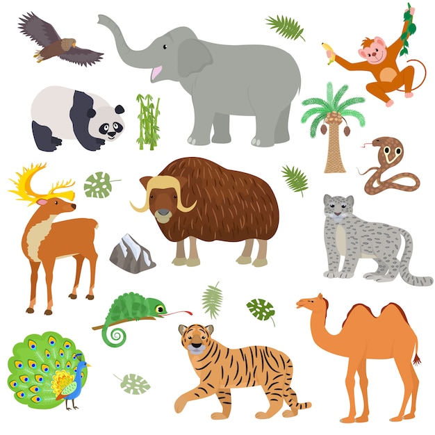 Aziatische dier dierlijke wild karakter tijger kameel panda in Azië wildlife illustratie set zoogdier buffels olifant cobra geïsoleerd op een witte achtergrond