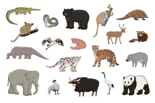 Aziatische dieren panda tijger olifant vector illustraties set