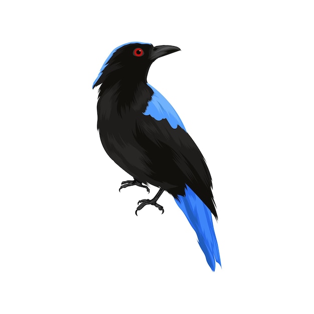 Aziatische Fairy Bluebird