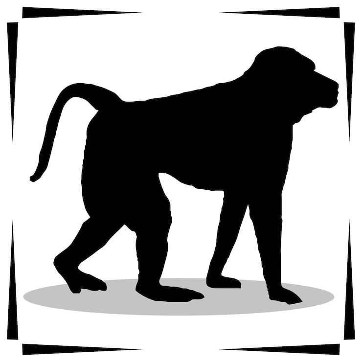 Vector baboon silhouette illustrations baboon silhouette icons animal silhouette vector illustrations
