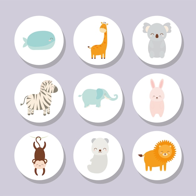 Baby animals set