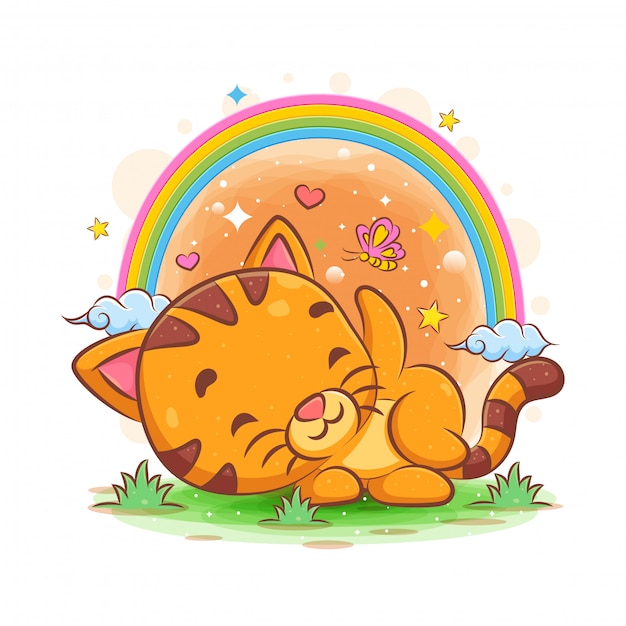 Baby cat sleeping in the garden with rainbow garden