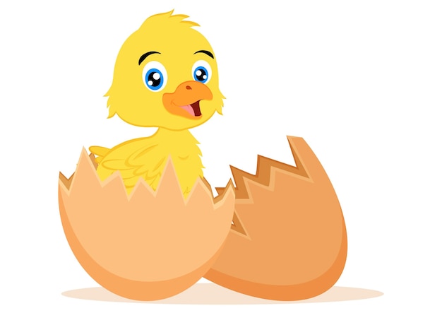 Baby chicken in an egg shell cartoon character vector illustration