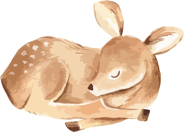 Baby Deer