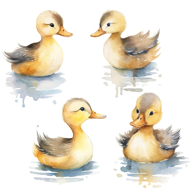 baby duck cute animals vector