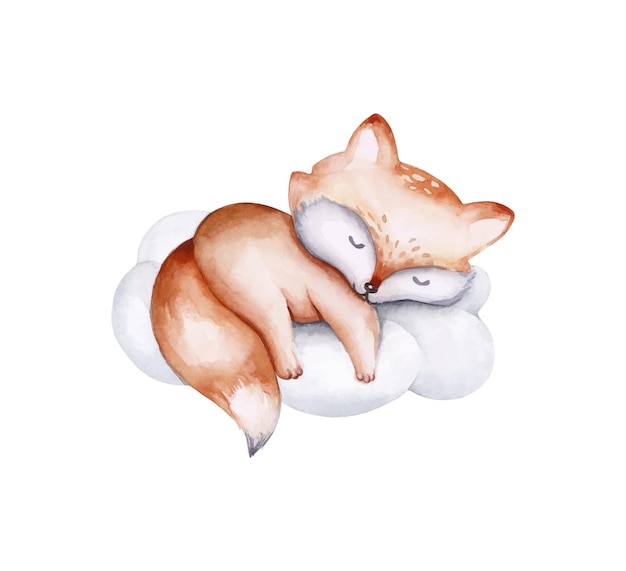 Baby fox adorable sleep on the cloud watercolor