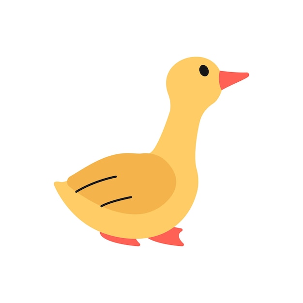 Baby goose illustration