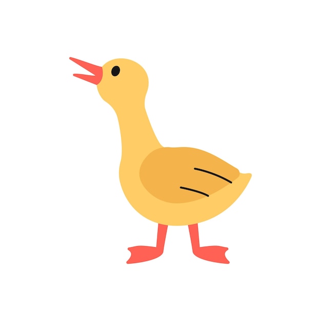 Baby Goose Illustration