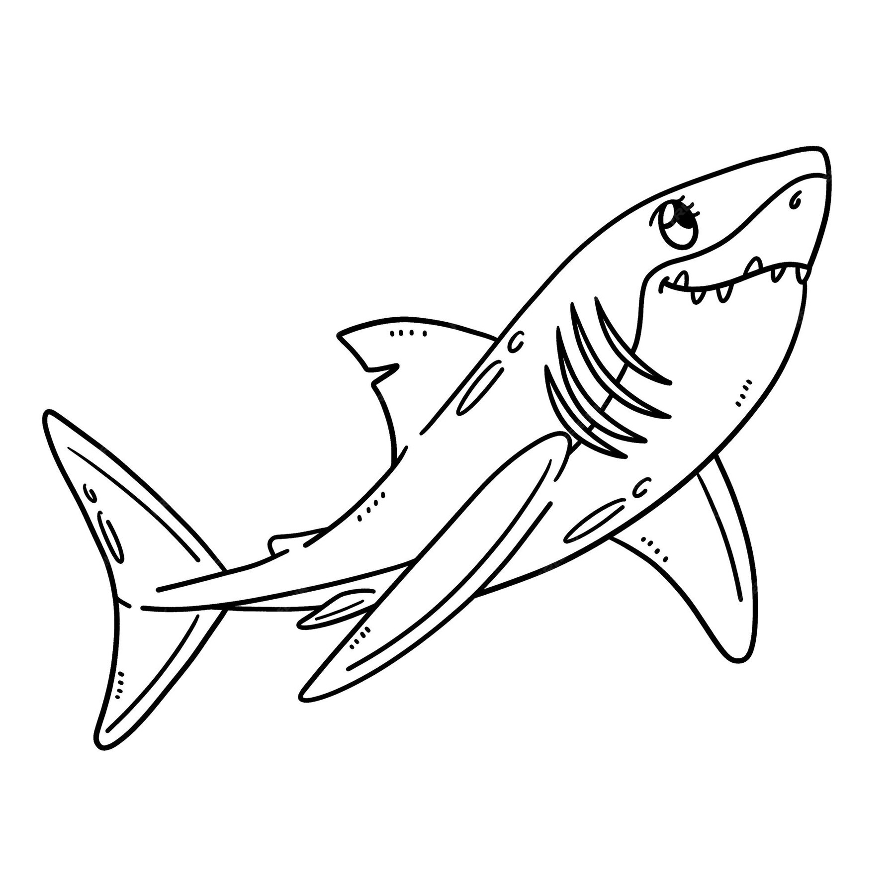 Premium Vector | Baby Great White Shark Isolated Coloring Page