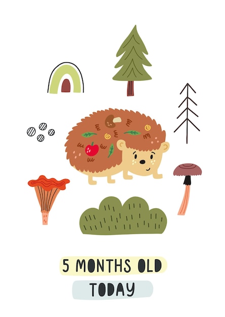 Baby milestone card five months old today. hedgehog among forest mushrooms. nursery month card for lovely moments newborn. baby shower hand drawn doodle vector illustration design