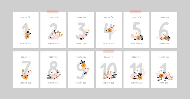 Baby milestone cards with flowers and numbers for newborn girl or boy. baby shower print