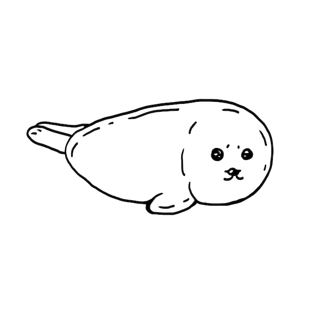 Baby seal hand drawn black and white vector illustration