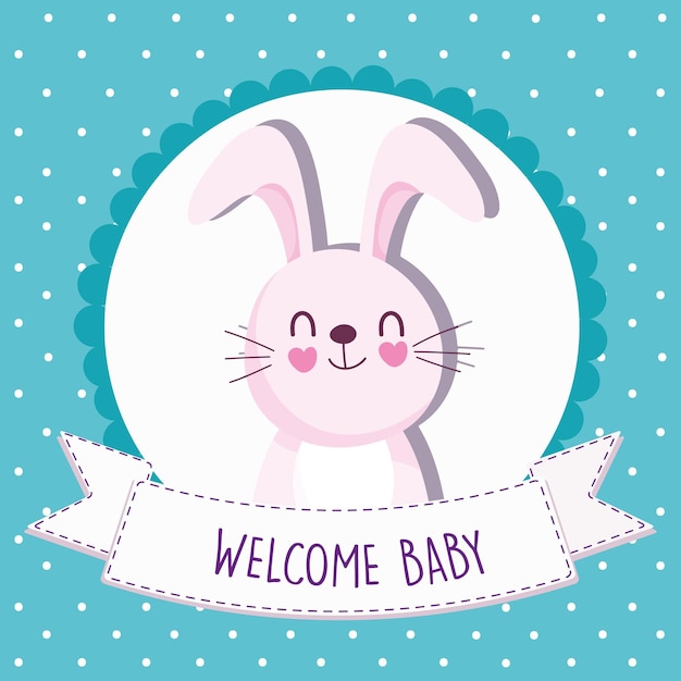 Baby shower rabbit