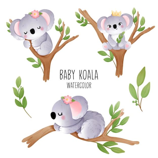 Babykoala geïsoleerd op een witte achtergrond, vectorillustratie