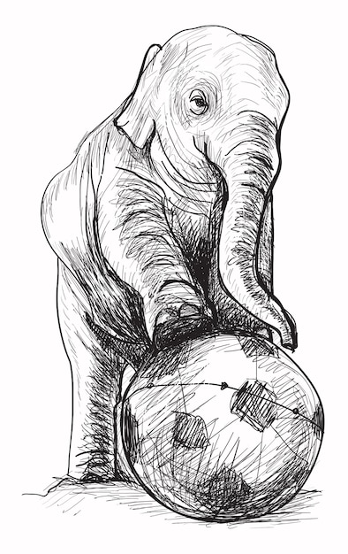 Babyolifant voetballen schets en vrije hand tekenen illustratie vector