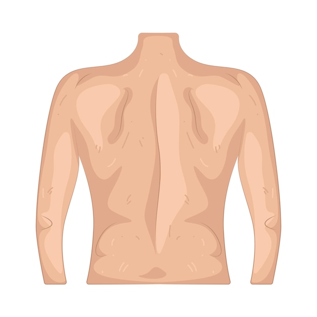 Back illustration