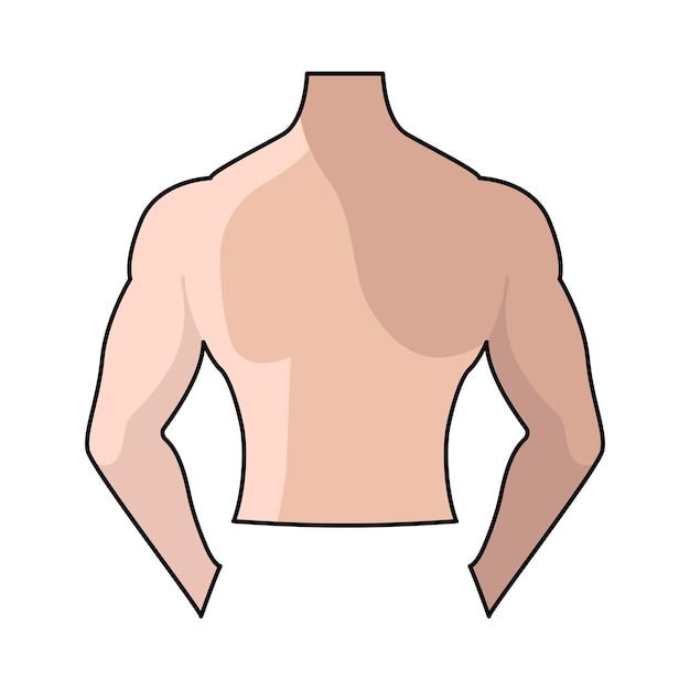 back illustration