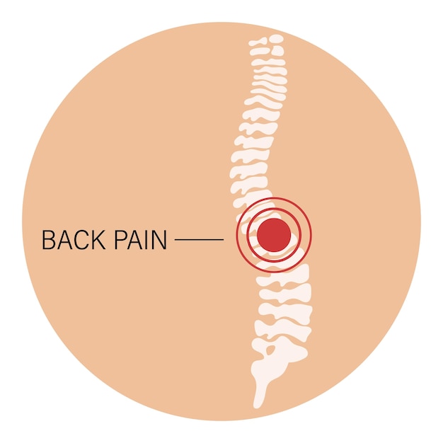 Premium Vector Back pain spinal pain osteoarthritis rheumatoid arthritis Anatomy of human