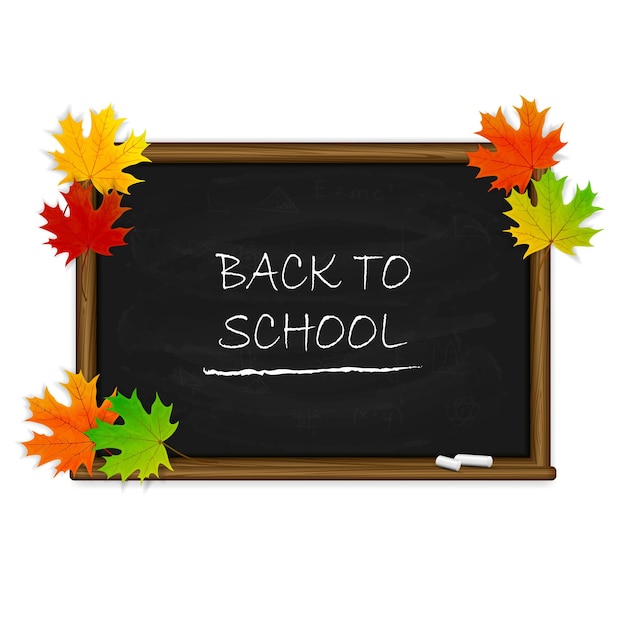 Back to school on black chalkboard with maple leaves