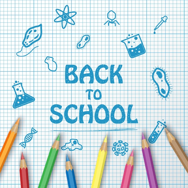 back to school text drawing on paper graph with school items and elements and color pencil