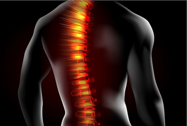 Back spine men illustration medical concept