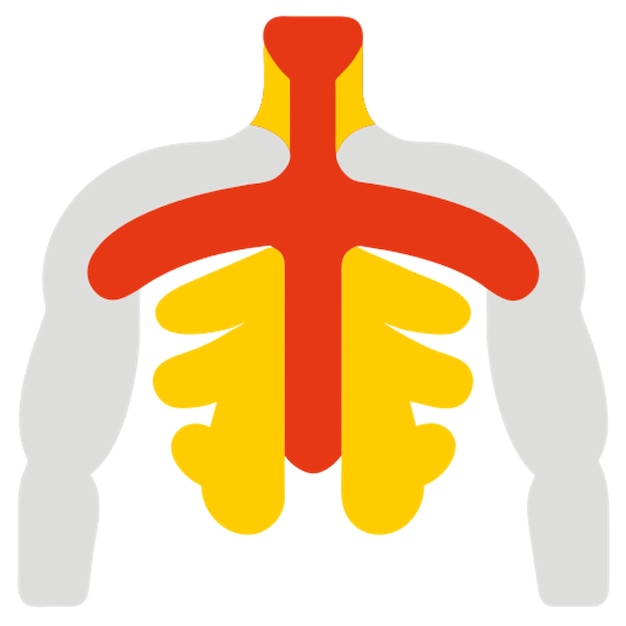 Vector backbone organ icon colored shapes