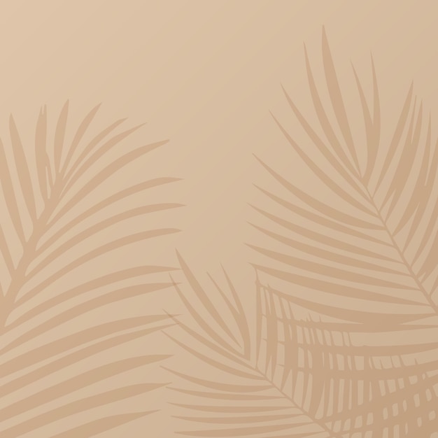 Vector background abstract palm tree shadow vector illustration