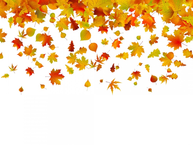 Vector background of autumn leaves. 