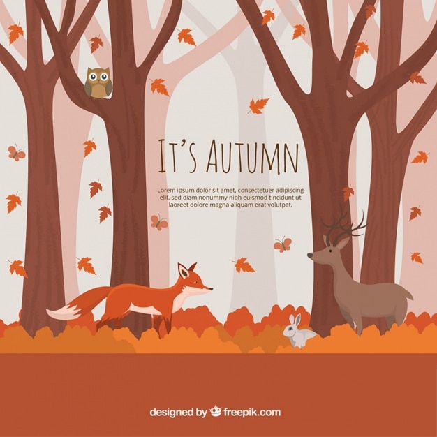 Background of autumnal forest with lovely animals