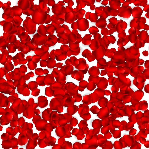 Background of beautiful red rose petals.