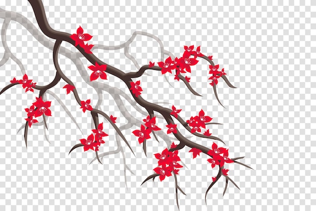 Background to blooming Sakura Vector illustration