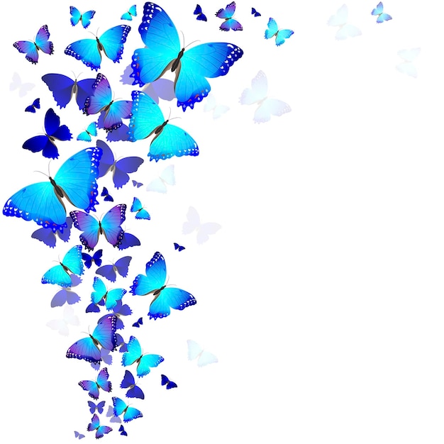 Background of butterflies