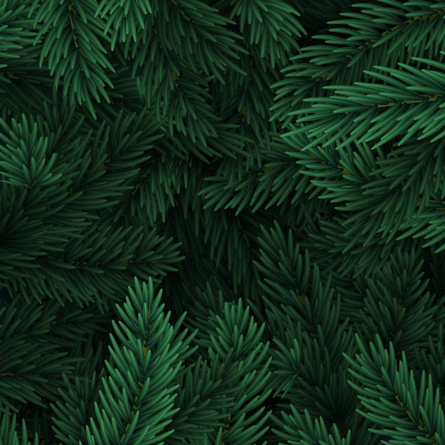 Vector background christmas tree branches. festive xmas border of green branch of pine. vector illustration