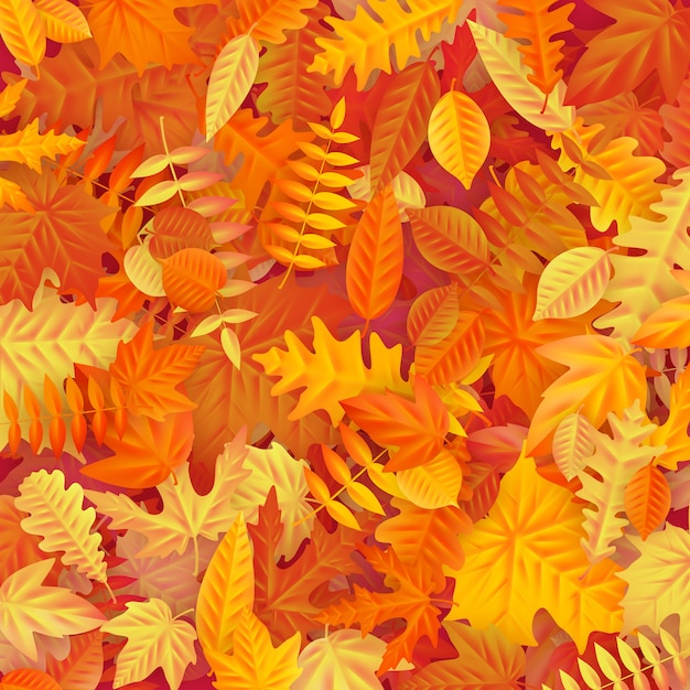 Background of colored wet autumnal maple leaves.