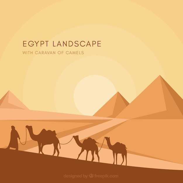 Background of egypt pyramids landscape with caravan of camels