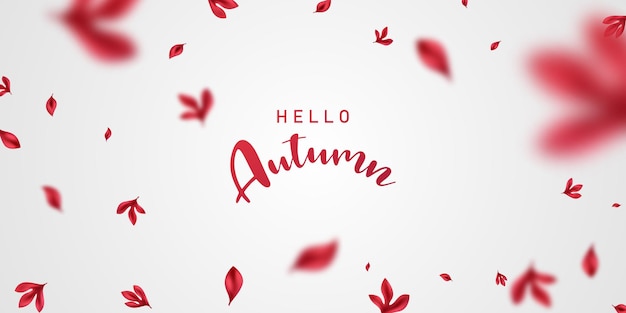background of fluttering leaves Background for autumn Vector illustration
