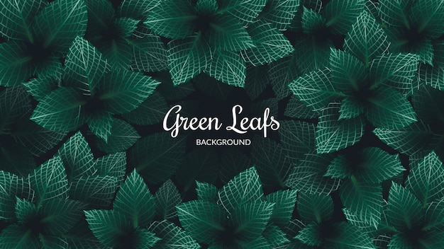 background green leafs