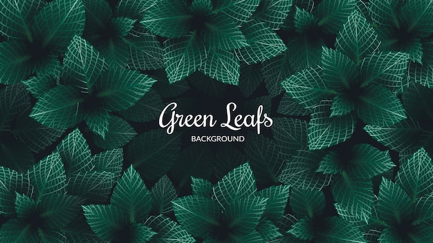 Background Green Leafs