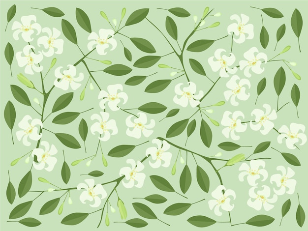 Vector background of orange jasmine or mock orange flowers