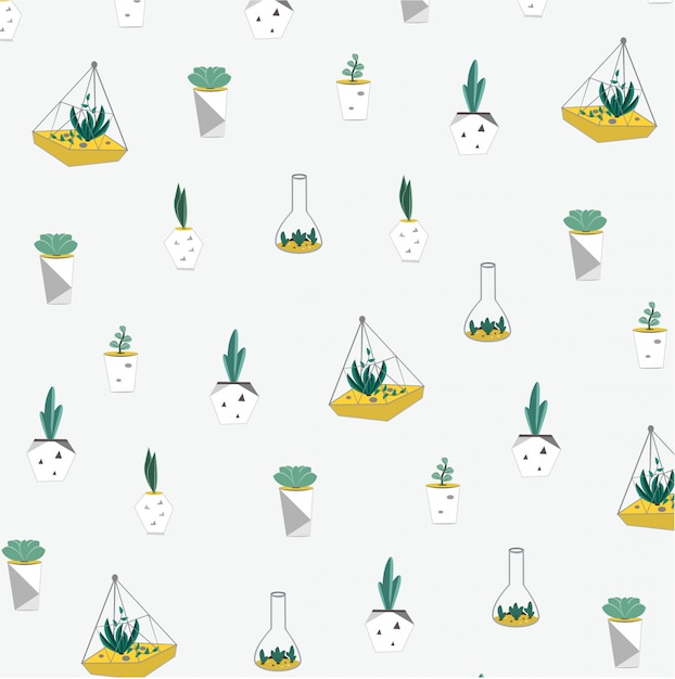 Vector background pattern with terarium