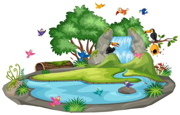 Background scene of birds at the waterfall