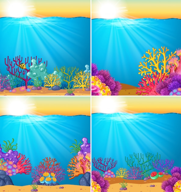 Background scene with coral reef underwater