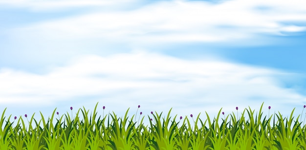 Background scene with green field at daytime