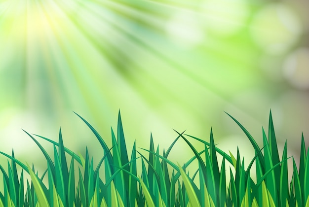 Vector background scene with green grass