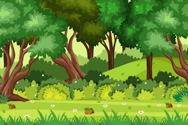 Vector background scene with green trees in the park